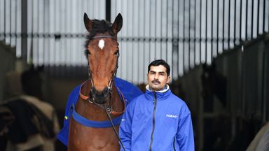 Lostintranslation is set to run in Ultima Handicap Chase